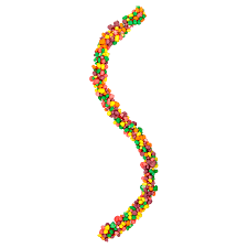 Nerds Rope Rainbow